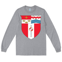 Heather Grey Rensselaer Polytechnic Institute Long Sleeve Tee - linhVisuals