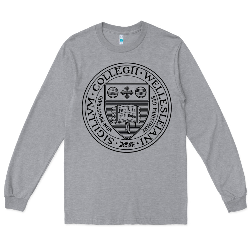 Wellesley College Long Sleeve Tee by linhVisuals | Teevron