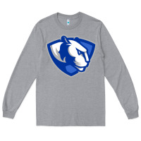 Heather Grey The eastern illinois panthers Long Sleeve Tee - linhVisuals