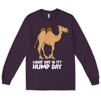 What Day Is It Hump Day Funny Camels Hump Day T Shirt Long Sleeve Tee | Teevron