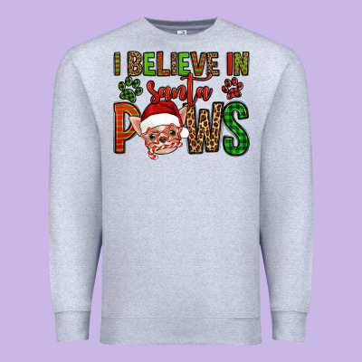 I Believe In Santa Paws Chihuahuha Premium Sweatshirt Designed By Jasminsmagicworld
