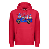 Cardinal american flag gnomes truck Premium Hoodie - Artiststas