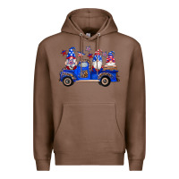Chestnut american flag gnomes truck Premium Hoodie - Artiststas