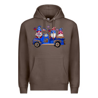 Coffee american flag gnomes truck Premium Hoodie - Artiststas