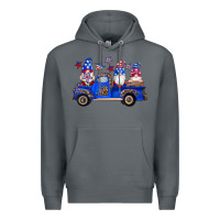 Rock american flag gnomes truck Premium Hoodie - Artiststas
