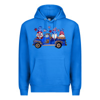 True Royal american flag gnomes truck Premium Hoodie - Artiststas