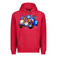 Cardinal american flag gnomes truck sunflowers star leopard Premium Hoodie - Artiststas