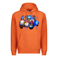 Carrot american flag gnomes truck sunflowers star leopard Premium Hoodie - Artiststas
