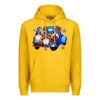 Lemon american flag gnomes truck sunflowers star leopard Premium Hoodie - Artiststas