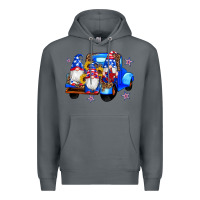 Rock american flag gnomes truck sunflowers star leopard Premium Hoodie - Artiststas