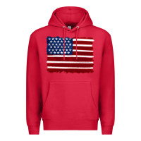 Cardinal american flag Premium Hoodie - Artiststas