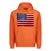 Carrot american flag Premium Hoodie - Artiststas