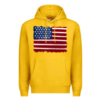 Lemon american flag Premium Hoodie - Artiststas