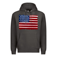 Smoke american flag Premium Hoodie - Artiststas