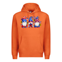 Carrot american flag gnomes sunflowers star Premium Hoodie - Artiststas