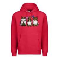 Cardinal military gnomes star Premium Hoodie - Artiststas