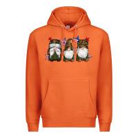 Carrot military gnomes star Premium Hoodie - Artiststas