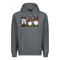 Rock military gnomes star Premium Hoodie - Artiststas