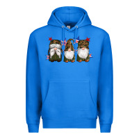 True Royal military gnomes star Premium Hoodie - Artiststas
