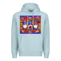 Blue Mist american flag gnomes star leopard glitter tumbler Premium Hoodie - Artiststas