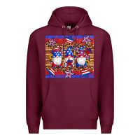 Burgundy american flag gnomes star leopard glitter tumbler Premium Hoodie - Artiststas