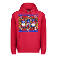 Cardinal american flag gnomes star leopard glitter tumbler Premium Hoodie - Artiststas