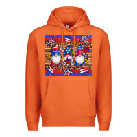 Carrot american flag gnomes star leopard glitter tumbler Premium Hoodie - Artiststas