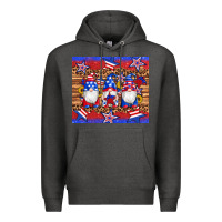 Charcoal Heather american flag gnomes star leopard glitter tumbler Premium Hoodie - Artiststas