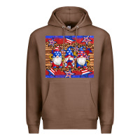 Chestnut american flag gnomes star leopard glitter tumbler Premium Hoodie - Artiststas