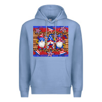 Colony Blue american flag gnomes star leopard glitter tumbler Premium Hoodie - Artiststas