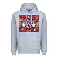 Heather Grey american flag gnomes star leopard glitter tumbler Premium Hoodie - Artiststas