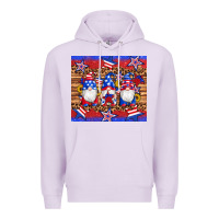 Lilac american flag gnomes star leopard glitter tumbler Premium Hoodie - Artiststas