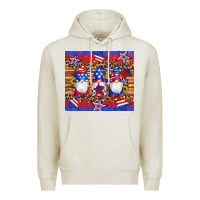 Oatmeal Heather american flag gnomes star leopard glitter tumbler Premium Hoodie - Artiststas