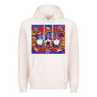 Pale Pink american flag gnomes star leopard glitter tumbler Premium Hoodie - Artiststas