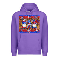 Purple american flag gnomes star leopard glitter tumbler Premium Hoodie - Artiststas