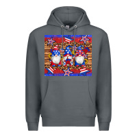 Rock american flag gnomes star leopard glitter tumbler Premium Hoodie - Artiststas