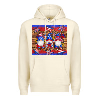 Sandshell american flag gnomes star leopard glitter tumbler Premium Hoodie - Artiststas
