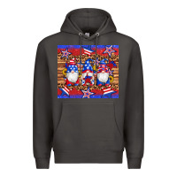 Smoke american flag gnomes star leopard glitter tumbler Premium Hoodie - Artiststas
