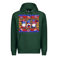Sports Green american flag gnomes star leopard glitter tumbler Premium Hoodie - Artiststas