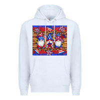 White american flag gnomes star leopard glitter tumbler Premium Hoodie - Artiststas