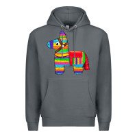 Rock pinata Premium Hoodie - Artiststas