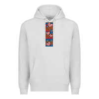 Dove Grey usa flag and cross penwraps Premium Hoodie - Artiststas