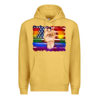Antique Gold lgbtq flag and american flag with hand Premium Hoodie - Artiststas