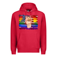 Cardinal lgbtq flag and american flag with hand Premium Hoodie - Artiststas