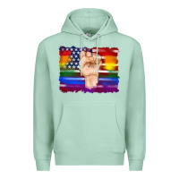 Seafoam lgbtq flag and american flag with hand Premium Hoodie - Artiststas