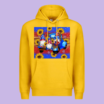 American Flag Gnomes Truck Sunflowers Star Leopard Glitter Premium Hoodie Designed By Artiststas