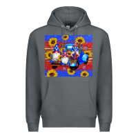 Rock American flag gnomes truck sunflowers star leopard glitter Premium Hoodie - Artiststas