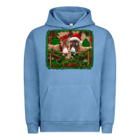 Pigment Pebble Blue christmas donkeys Urban Hoodie - Jasminsmagicworld