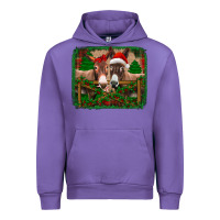 Tulip christmas donkeys Urban Hoodie - Jasminsmagicworld