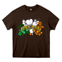 Chocolate Brown St. Patrick's Ireland flag Heavy Core Tee - HowdyJamesFarm